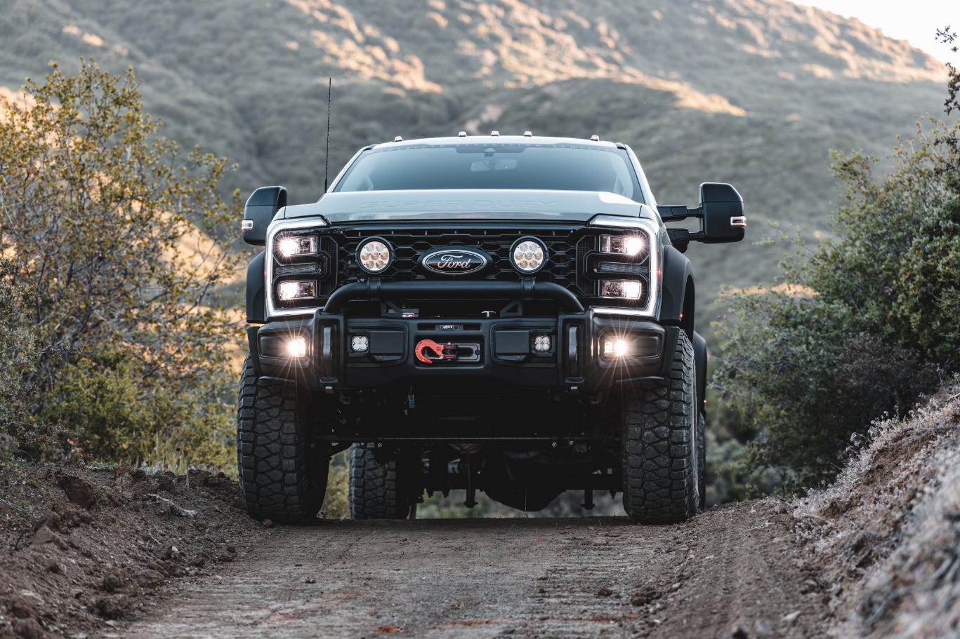 Ford Super Duty photo 208228