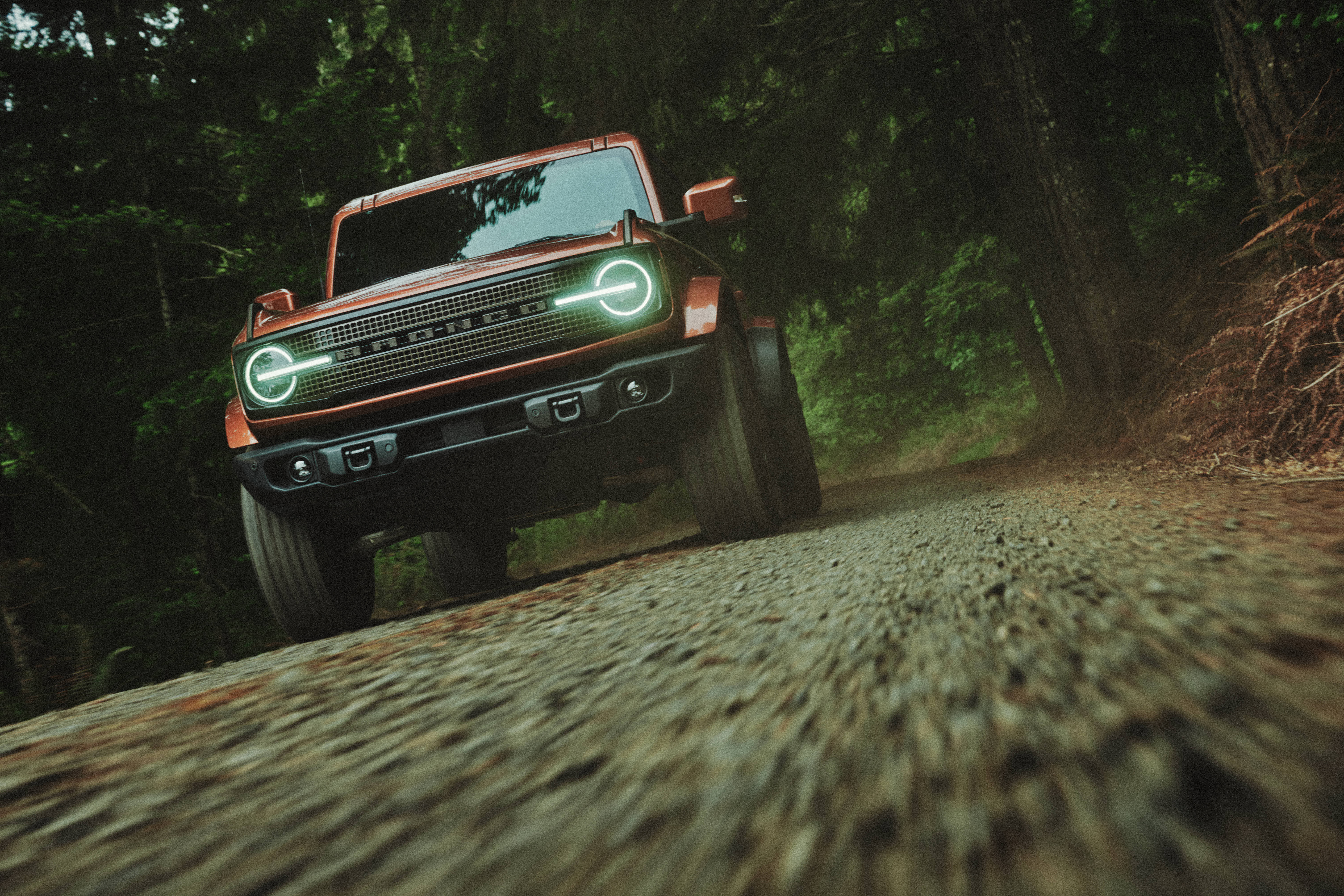 Ford Bronco photo 208298