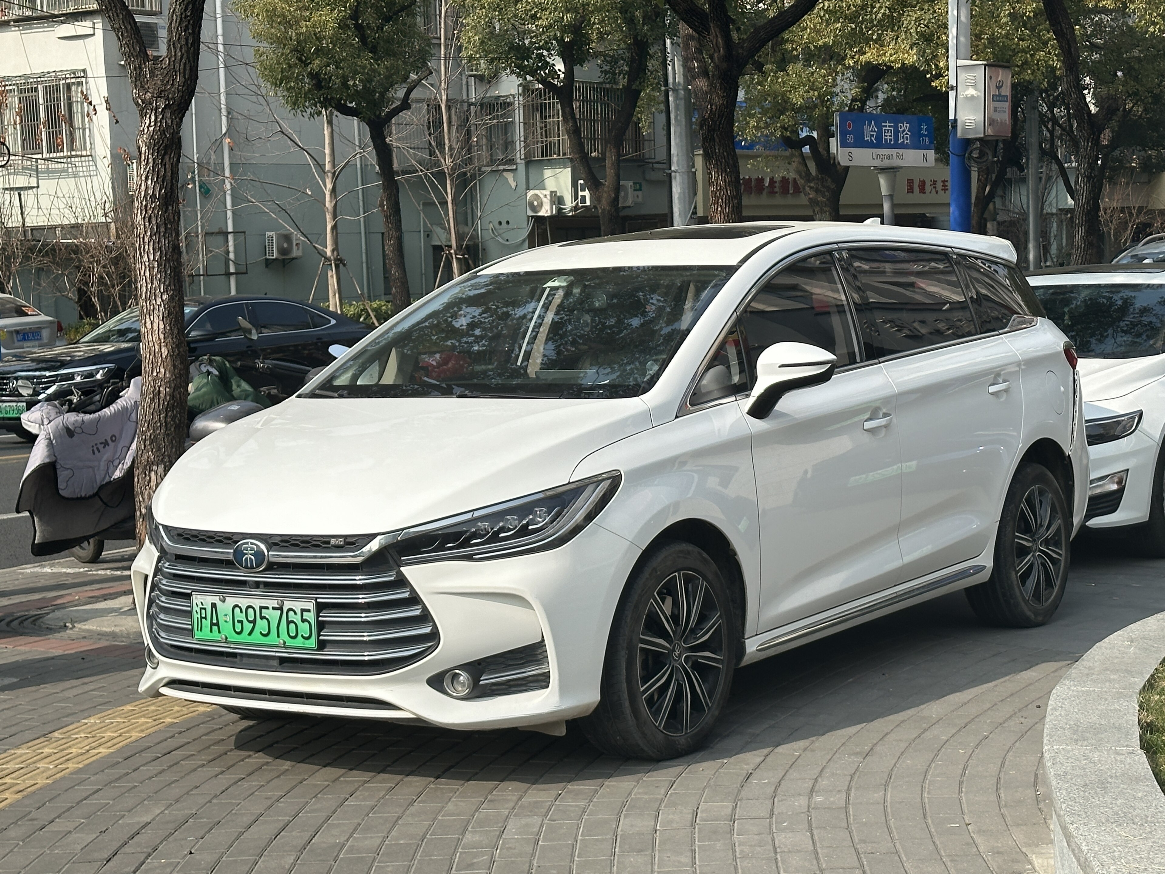BYD Song Max photo 208661