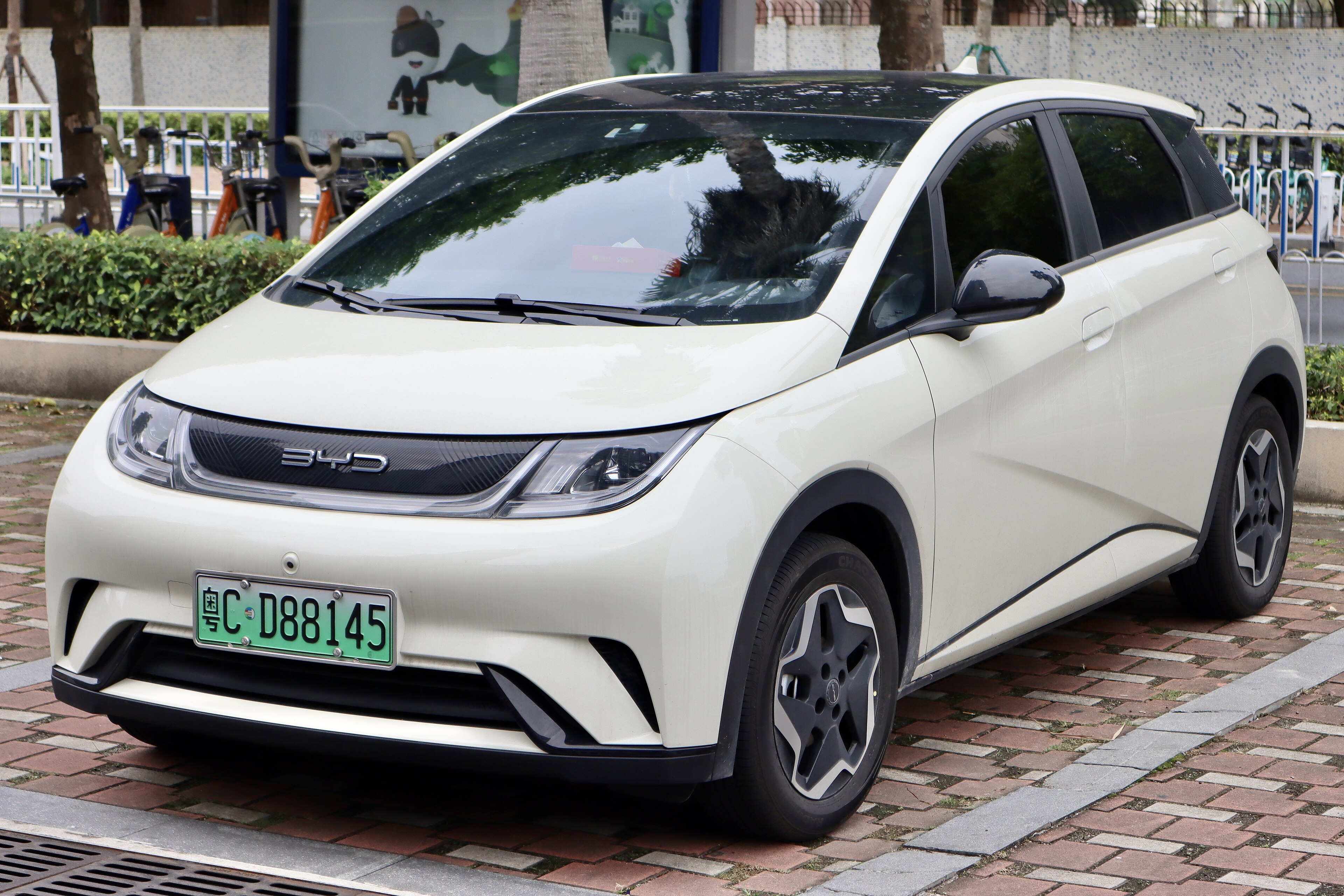 BYD Dolphin photo 208698