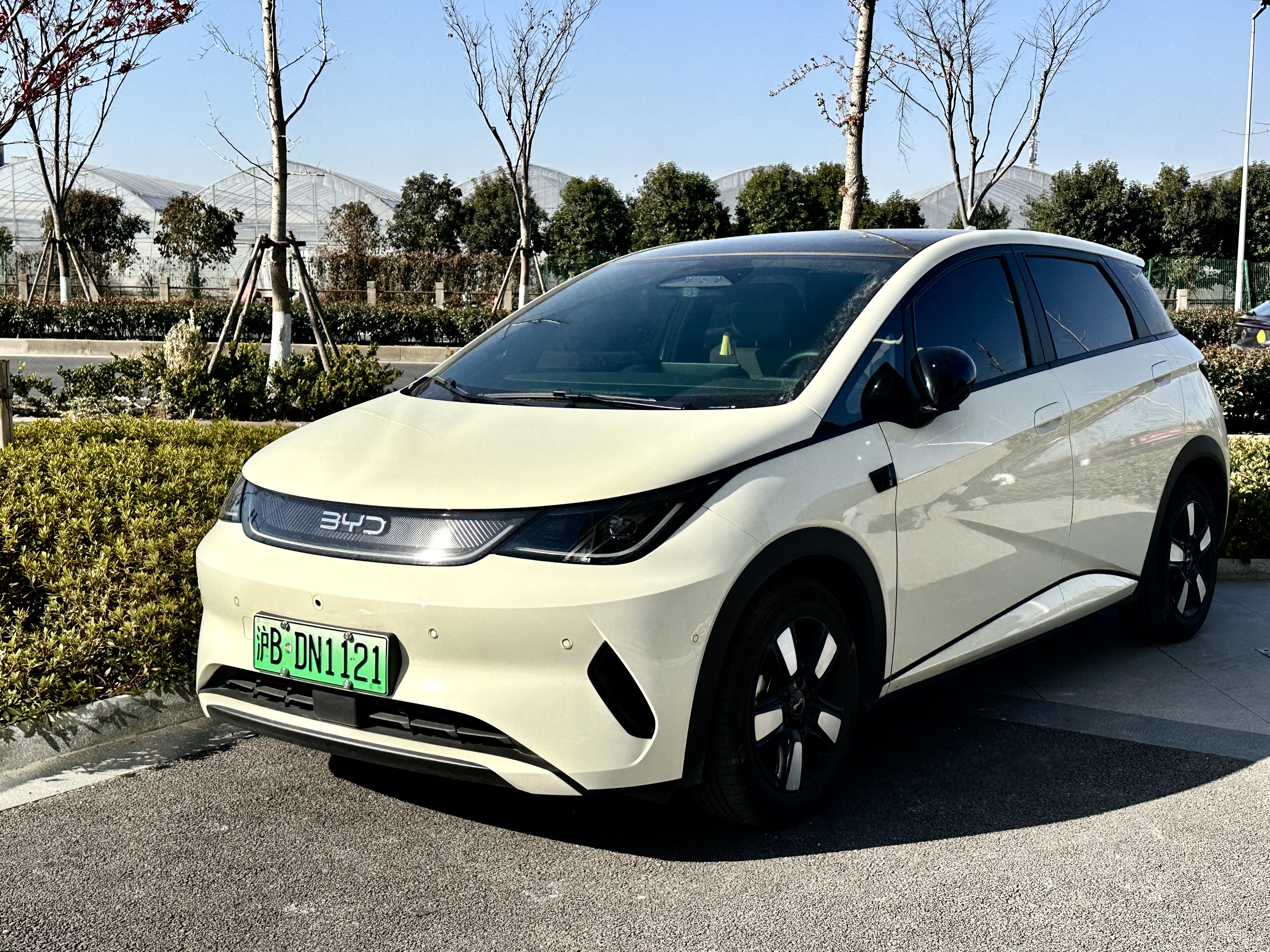 BYD Dolphin photo 209167